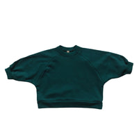 Load image into Gallery viewer, Baby Kid Unisex Solid Color Hoodies Swearshirts Wholesale 22082959
