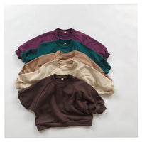 Load image into Gallery viewer, Baby Kid Unisex Solid Color Hoodies Swearshirts Wholesale 22082959
