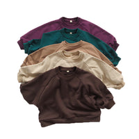 Load image into Gallery viewer, Baby Kid Unisex Solid Color Hoodies Swearshirts Wholesale 22082959

