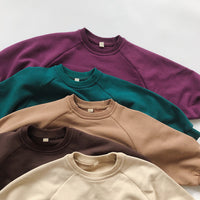 Load image into Gallery viewer, Baby Kid Unisex Solid Color Hoodies Swearshirts Wholesale 22082959
