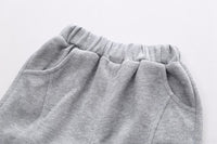 Load image into Gallery viewer, 3 Pieces Set Baby Kid Boys Dinosaur Hoodies Swearshirts Letters Vests Waistcoats And Solid Color Pants Wholesale 220906271
