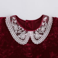 Load image into Gallery viewer, Baby Girls Lace Embroidered Dresses Wholesale 220909522
