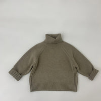 Load image into Gallery viewer, Baby Kid Unisex Solid Color Sweaters Knitwear Wholesale 220914389
