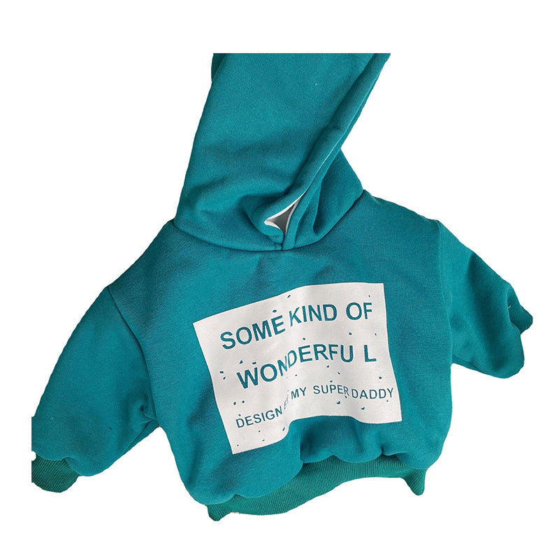 Baby Kid Unisex Letters Hoodies Swearshirts Wholesale 22091638