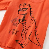 Load image into Gallery viewer, Baby Kid Boys Letters Dinosaur Cartoon Print Tops Wholesale 220920291
