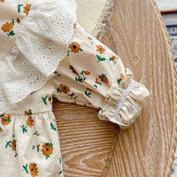 Load image into Gallery viewer, Baby Girls Flower Lace Print Rompers Wholesale 22092099
