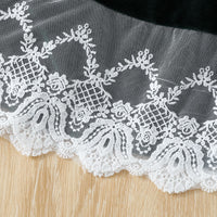 Load image into Gallery viewer, Baby Kid Girls Color-blocking Lace Dresses Wholesale 220922487
