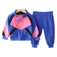 Load image into Gallery viewer, 2 Pieces Set Baby Kid Unisex Color-blocking Hoodies Swearshirts And Solid Color Pants Wholesale 22092907
