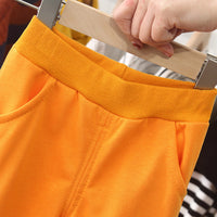 Load image into Gallery viewer, 2 Pieces Set Baby Kid Unisex Color-blocking Hoodies Swearshirts And Solid Color Pants Wholesale 22092907
