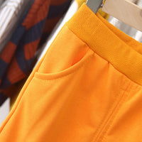 Load image into Gallery viewer, 2 Pieces Set Baby Kid Unisex Color-blocking Hoodies Swearshirts And Solid Color Pants Wholesale 22092907
