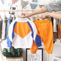 Load image into Gallery viewer, 2 Pieces Set Baby Kid Unisex Color-blocking Hoodies Swearshirts And Solid Color Pants Wholesale 22092907
