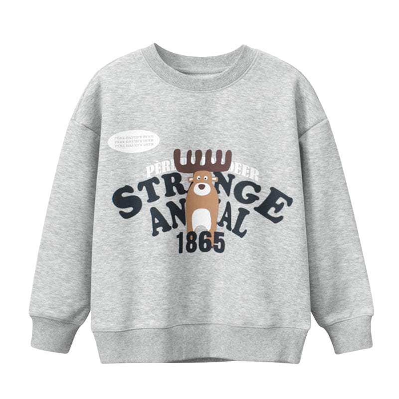Kid Big Kid Boys Letters Animals Print Hoodies Swearshirts Wholesale 2209291079