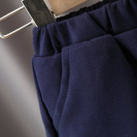 Load image into Gallery viewer, 3 Pieces Set Baby Kid Boys Checked Print Vests Waistcoats And Bow Shirts And Cartoon Pants Wholesale 220929452
