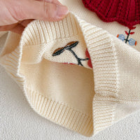 Load image into Gallery viewer, 2 Pieces Set Baby Girls Embroidered Knitwear Sweaters And Solid Color Shorts Wholesale 220929909
