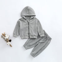 Load image into Gallery viewer, 2 Pieces Set Baby Kid Unisex Solid Color Hoodies Swearshirts And Pants Wholesale 221021124
