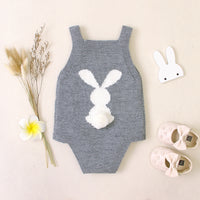 Load image into Gallery viewer, Baby Girls Cartoon Crochet Embroidered Rompers Wholesale 221028110
