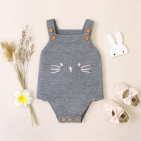 Load image into Gallery viewer, Baby Girls Cartoon Crochet Embroidered Rompers Wholesale 221028110
