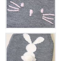 Load image into Gallery viewer, Baby Girls Cartoon Crochet Embroidered Rompers Wholesale 221028110
