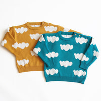 Load image into Gallery viewer, Baby Unisex Crochet Sweaters Wholesale 22110741
