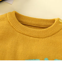 Load image into Gallery viewer, Baby Kid Unisex Letters Cartoon Crochet Sweaters Wholesale 221107622
