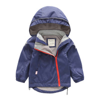 Load image into Gallery viewer, Baby Kid Unisex Solid Color Striped Flower Rainbow Car Cartoon Print Jackets Outwears Wholesale 22110790
