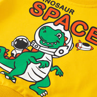 Load image into Gallery viewer, Baby Kid Boys Dinosaur Print Hoodies Swearshirts Wholesale 221117113
