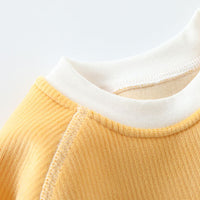 Load image into Gallery viewer, Baby Unisex Color-blocking Cartoon Print Tops Wholesale 221117121
