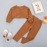 Load image into Gallery viewer, 2 Pieces Set Baby Kid Girls Solid Color Muslin&amp;Ribbed Tops And Pants Wholesale 221117182
