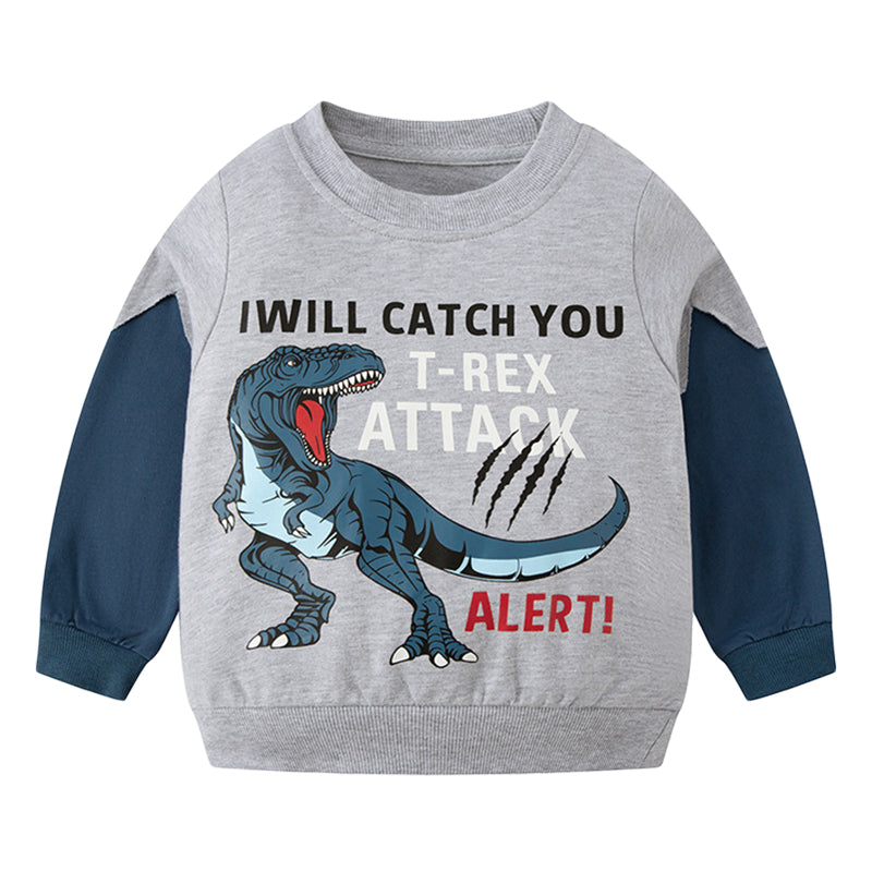 Baby Kid Boys Letters Dinosaur Print Hoodies Swearshirts Wholesale 22111742