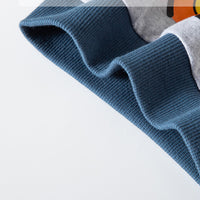 Load image into Gallery viewer, Baby Kid Boys Letters Cartoon Print Hoodies Swearshirts Wholesale 22111745
