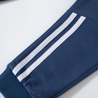 Load image into Gallery viewer, Baby Kid Boys Striped Dinosaur Print Sports Pants Wholesale 22111757
