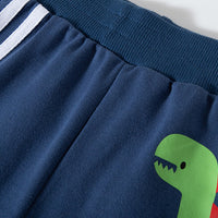 Load image into Gallery viewer, Baby Kid Boys Striped Dinosaur Print Sports Pants Wholesale 22111757
