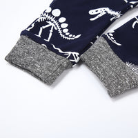 Load image into Gallery viewer, 2 Pieces Set Baby Boys Color-blocking Dinosaur Hoodies Swearshirts And Pants Wholesale 22112136
