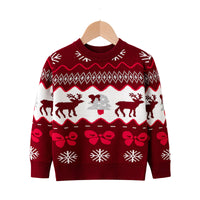 Load image into Gallery viewer, Baby Kid Boys Color-blocking Animals Cartoon Print Christmas Sweaters Wholesale 221130137
