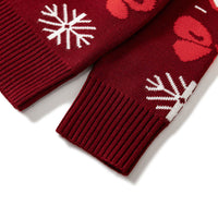 Load image into Gallery viewer, Baby Kid Boys Color-blocking Animals Cartoon Print Christmas Sweaters Wholesale 221130137
