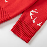 Load image into Gallery viewer, Kid Unisex Animals Cartoon Crochet Christmas Sweaters Wholesale 221130144
