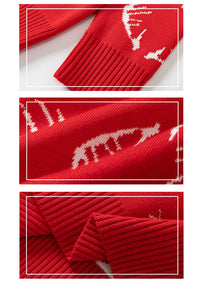 Load image into Gallery viewer, Kid Unisex Animals Cartoon Crochet Christmas Sweaters Wholesale 221130144
