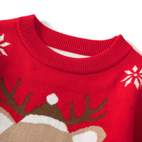 Load image into Gallery viewer, Kid Unisex Animals Cartoon Crochet Christmas Sweaters Wholesale 221130145
