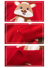 Load image into Gallery viewer, Kid Unisex Animals Cartoon Crochet Christmas Sweaters Wholesale 221130145
