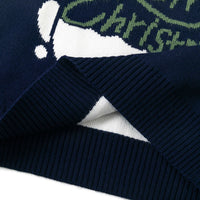 Load image into Gallery viewer, Kid Unisex Letters Cartoon Crochet Christmas Sweaters Wholesale 221130147
