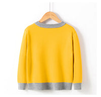 Load image into Gallery viewer, Baby Kid Unisex Cartoon Sweaters Knitwear Wholesale 22113030
