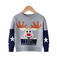 Load image into Gallery viewer, Kid Unisex Letters Color-blocking Cartoon Crochet Sweaters Wholesale 22113031
