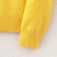 Load image into Gallery viewer, Kid Boys Crochet Sweaters Wholesale 221206176
