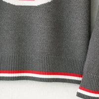 Load image into Gallery viewer, Kid Big Kid Boys Letters Sweaters Knitwear Wholesale 221206179
