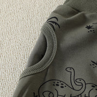 Load image into Gallery viewer, 2 Pieces Set Baby Kid Boys Dinosaur Cartoon Print Hoodies Swearshirts And Pants Wholesale 221206826
