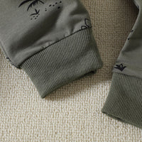 Load image into Gallery viewer, 2 Pieces Set Baby Kid Boys Dinosaur Cartoon Print Hoodies Swearshirts And Pants Wholesale 221206826
