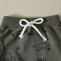 Load image into Gallery viewer, 2 Pieces Set Baby Kid Boys Dinosaur Cartoon Print Hoodies Swearshirts And Pants Wholesale 221206826
