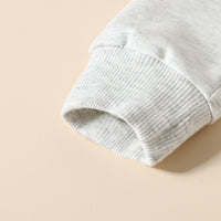 Load image into Gallery viewer, 2 Pieces Set Baby Kid Unisex Letters Hoodies Swearshirts And Solid Color Pants Wholesale 221206854
