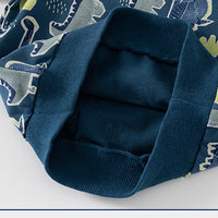 Load image into Gallery viewer, Baby Kid Boys Letters Dinosaur Print Hoodies Swearshirts Wholesale 221209224
