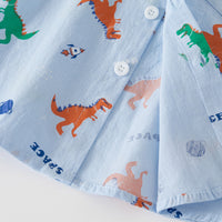 Load image into Gallery viewer, Baby Kid Boys Letters Dinosaur Animals Cartoon Expression Shirts Wholesale 221209225
